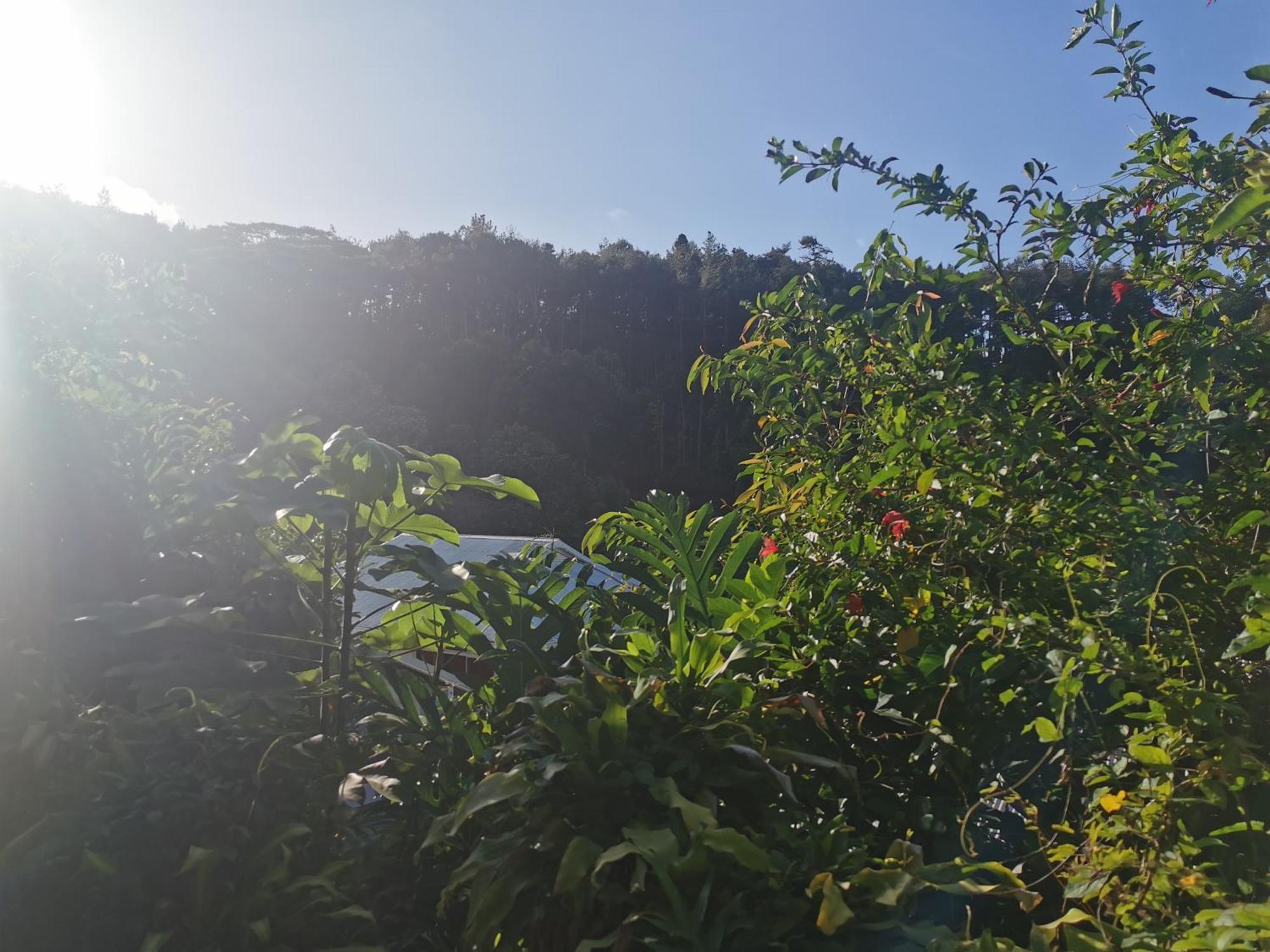 Fare Kairos Appartement Uturoa Buitenkant foto