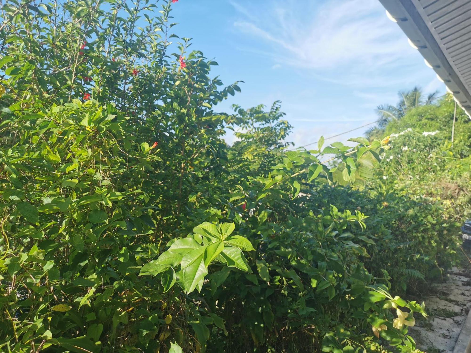 Fare Kairos Appartement Uturoa Buitenkant foto